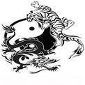 Sacramento kung fu logo 4